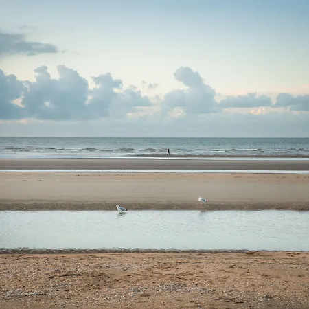 ホテル パークホテル 2*