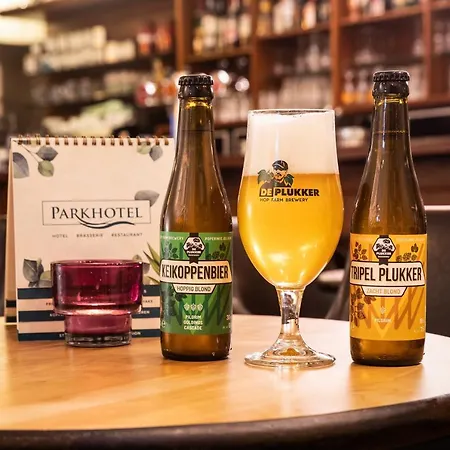 Parkhotel 2* De Panne