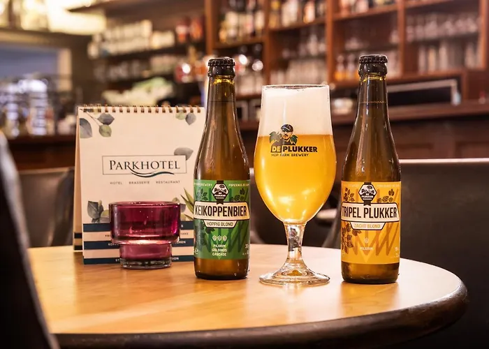 Parkhotel 2* De Panne